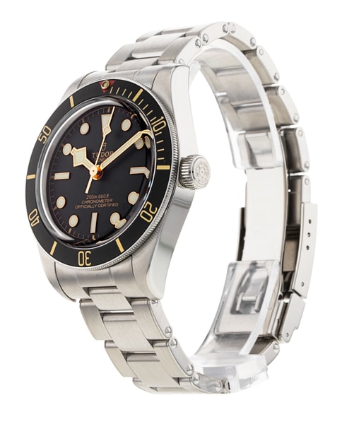 Tudor Black Bay 58 M79030N-0001